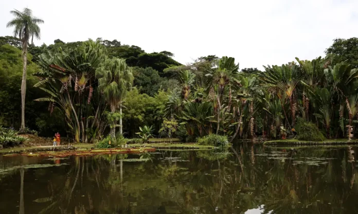fotografia_© Tomaz Silva:Agência Brasil