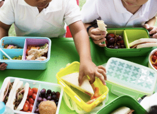 Merenda escolar: Unesco aponta Brasil como referência