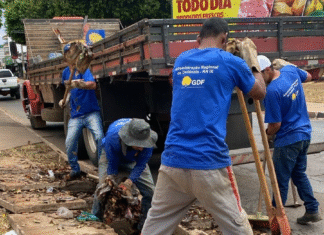 Ceilândia realiza mutirão de limpeza para evitar alagamentos