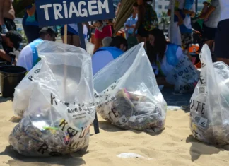 Dia Mundial da Limpeza terá mutirões em 22 cidades brasileiras