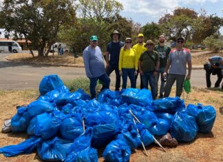 Mutirão de limpeza em Planaltina celebra o World Cleanup Day