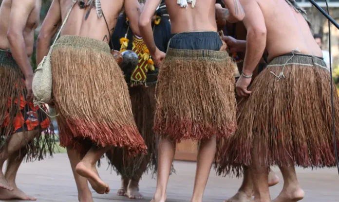 meioambiente_© Rovena Rosa:Agência Brasil