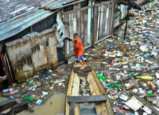Estudo revela alta contaminação por plástico na Amazônia