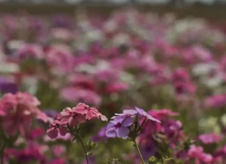 Primavera começa com frente fria, temporais e influência do La Niña