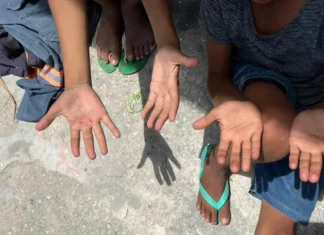 Trabalho infantil cresce entre crianças de 5 a 9 anos