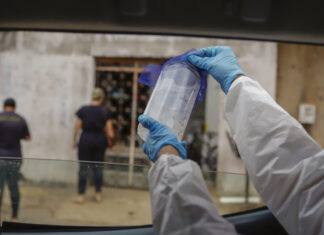 Mosquitos com bactéria ‘do bem’ são liberados no DF e em Goiás