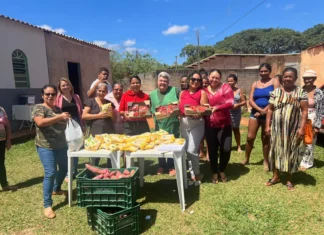 Mulheres Rurais do DF unem solidariedade e campo