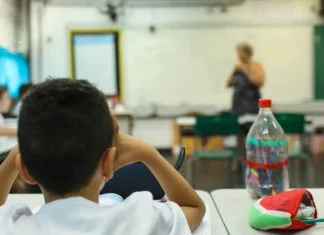 Governo abre consulta sobre IA na educação