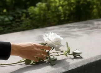 DF se prepara para receber 600 mil visitantes no Dia de Finados