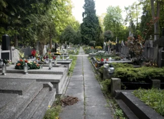 Detran-DF fará interdições em vias de cemitérios