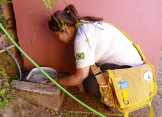 DF redobra alerta contra a dengue com início das chuvas