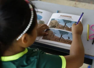 Educação e justiça climática são o tema da 6ª Conferência Nacional Infantojuvenil