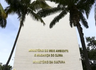 MinC deseja transformar escolas de samba em pontos de cultura