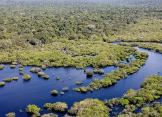 Boleto gigante cobra dívida climática dos países ricos