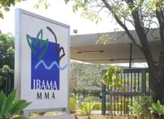 Ibama barra termelétrica que ameaçava escola em Samambaia