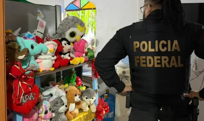 operacaopfabuso-© Polícia Federal
