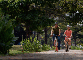 Parque Bosque do Sudoeste investe R$ 150 mil em nova reforma