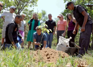 Disque-Cerrado inicia plantio de mil árvores no Jardim Botânico