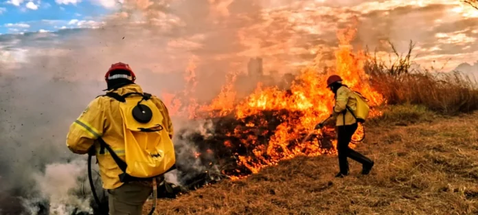queimada_Divulgação