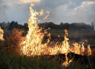 NÍVEL DE CO² NA ATMOSFERA BATE NOVO RECORDE