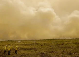 Calor mata 546 mil por ano alerta The Lancet