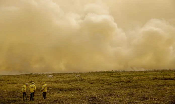 quiemadas_© Joédson Alves:Agência Brasil