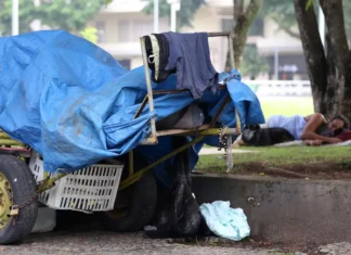 Desigualdade cai e Índice de Gini atinge recorde de baixa