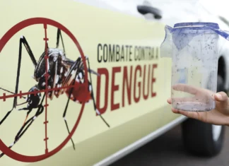 DF intensifica combate à dengue no Dia D
