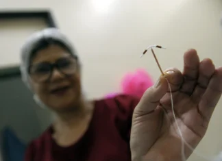 UBS de Taguatinga aplica 50 DIUs em três dias e bate recorde