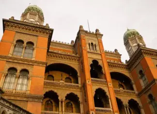 Anvisa autoriza Fiocruz a iniciar testes clínicos para AME Tipo 1