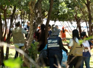 Ação integrada leva cuidado e dignidade às ruas do DF