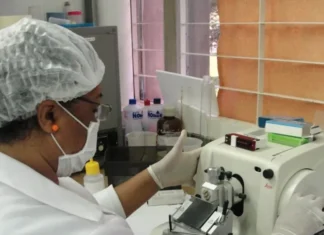 Pesquisa da UnB identifica via molecular chave no câncer de cabeça e pescoço