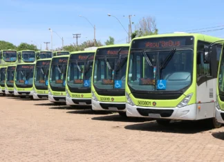 DF libera transporte público gratuito neste fim de semana