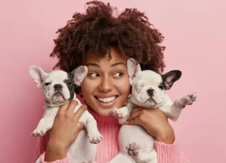 Vacinação contra raiva no DF