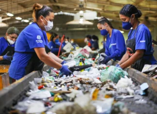 Coleta seletiva atinge 90% do DF e amplia reciclagem