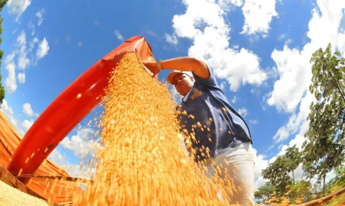 soja_© Prefeitura de Campo Grande:Divulgação