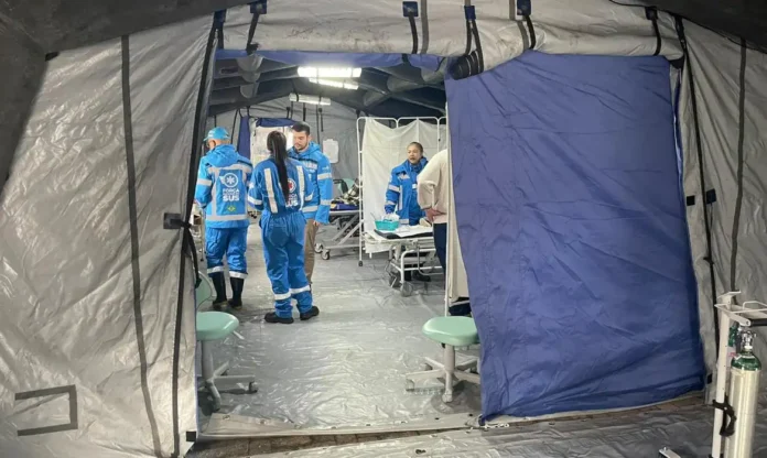 sus_© Ivan Matos:MS