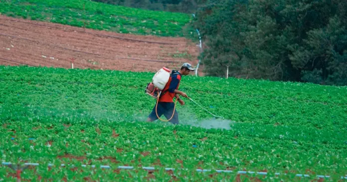 Agrotóxico-Revista Fapesp