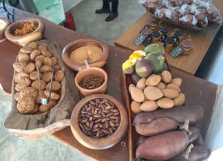 DF lança guia para incluir frutos do Cerrado na merenda