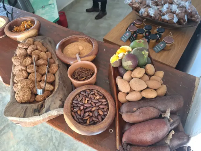 Frutos cerrado-Divulgação:IPEDF