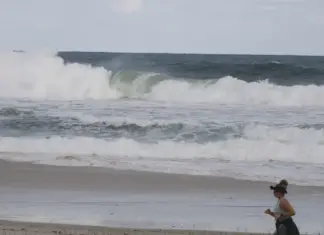 Estudo indica impacto de 20% na consciência ambiental