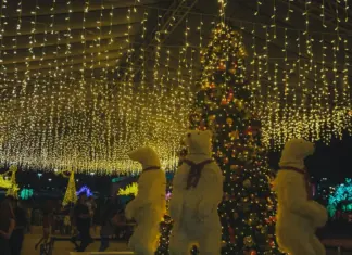 Nosso Natal 2025 movimenta Esplanada com cultura e inclusão