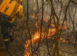 Governo lança painel que revela R$ 782 bilhões em gastos climáticos desde 2010