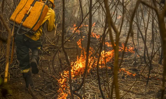 Queima-© Marcelo Camargo:Agência Brasil