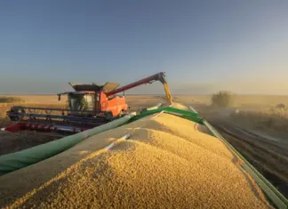 Safra recorde leva produção agrícola a 346 milhões ton