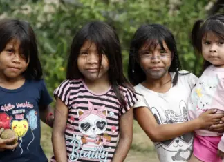 Saúde lança sistema para monitorar crianças indígenas