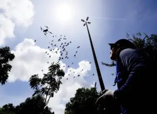DF intensifica combate à dengue e visita 1,8 milhão de casas