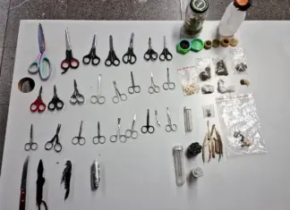 Revistas no Carnaval apreendem 119 armas brancas Revista preventiva no Carnaval do DF com apreensões e orientação ao público em área de bloco com policiamento ostensivo.