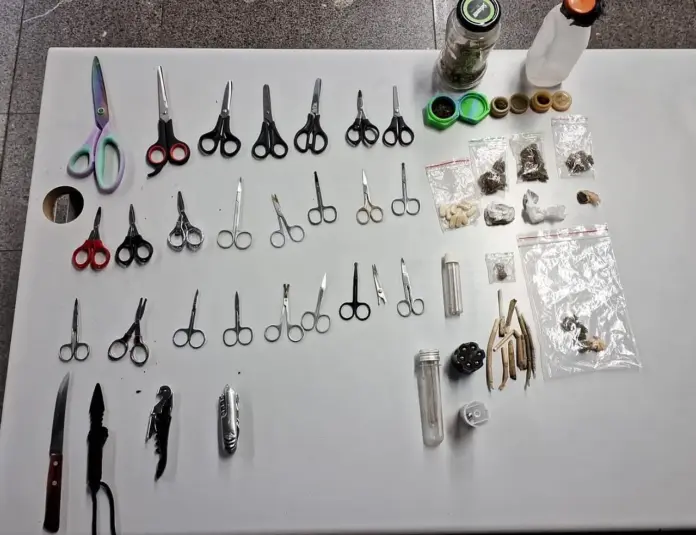 Apreenções da PM no carnaval-Divulgação-SSP-DF Revista preventiva no Carnaval do DF com apreensões e orientação ao público em área de bloco com policiamento ostensivo.