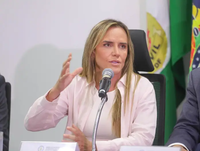 Celina Leão-Lúcio Bernardo Jr.-Agência Brasília Celina Leão.